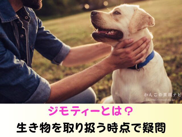 ジモティー 犬の譲渡 トラブル 怪しい人 被害 個人の取引