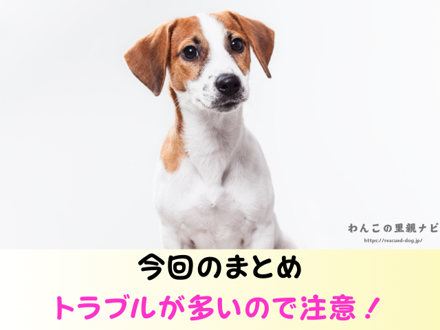 ジモティー 犬の譲渡 トラブル 怪しい人 被害 個人の取引