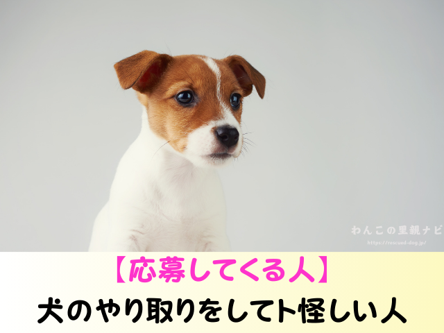 ジモティー 犬の譲渡 トラブル 怪しい人 被害 個人の取引