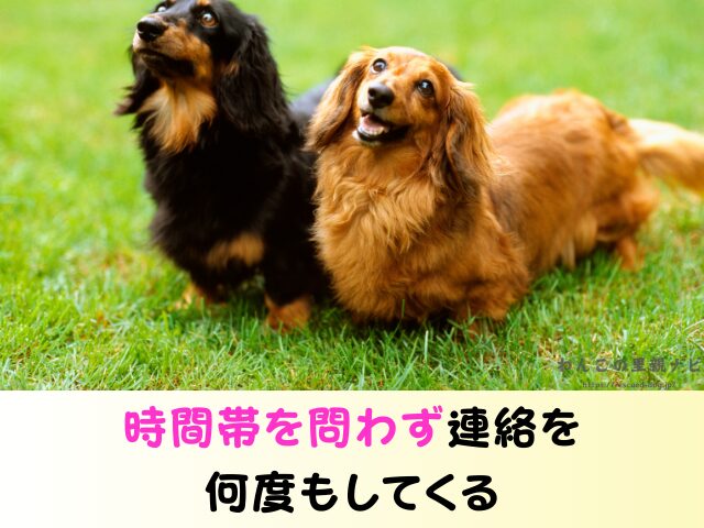 ジモティー 犬の譲渡 トラブル 怪しい人 被害 個人の取引