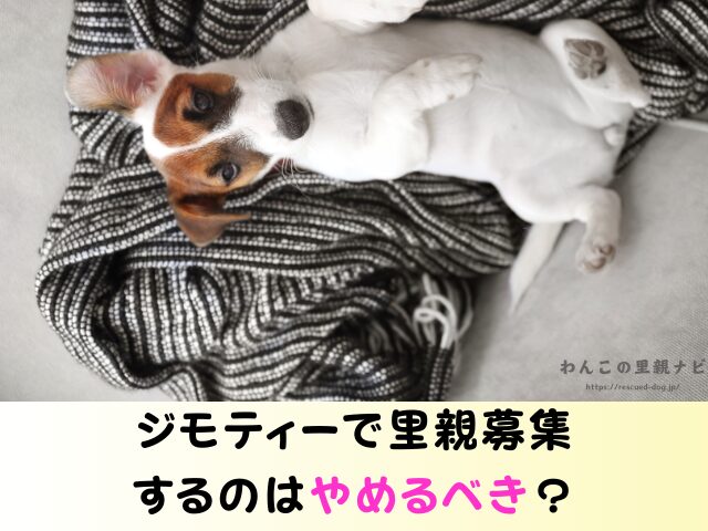 ジモティー 犬の譲渡 トラブル 怪しい人 被害 個人の取引