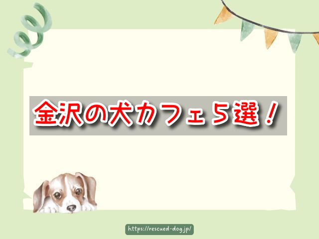 金沢市 犬カフェ 触れ合える おすすめ場所 犬連れ ランチ ドッグラン 石川県