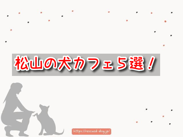 松山市　犬カフェ　触れ合える　おすすめ場所　犬連れ　ランチ　ドッグラン　愛媛県