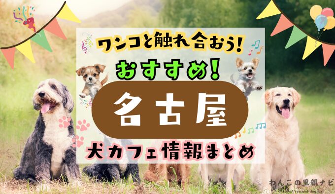 名古屋 犬カフェ 触れ合える おすすめ場所 犬連れ ランチ ドッグラン