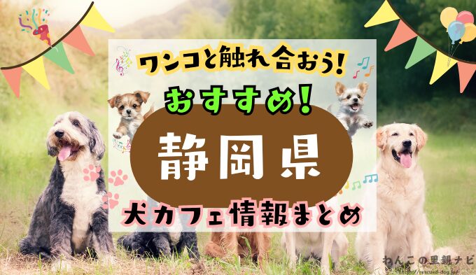 静岡県の犬カフェ7選!犬連れでランチとドックランを楽しもう!